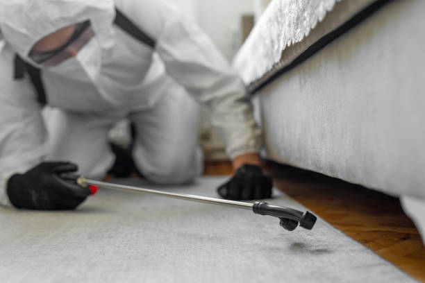 Professional Bed Bug Control technician working in Pismo Beach, CA